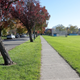 Illustration for article titled Pics from the Curbside: 2018-10-14 to Kitsilano Secondary School